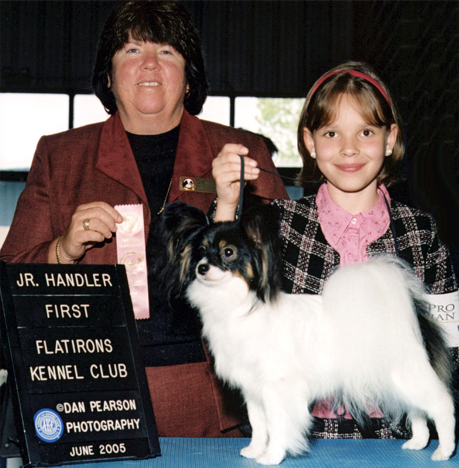 Dog show ring